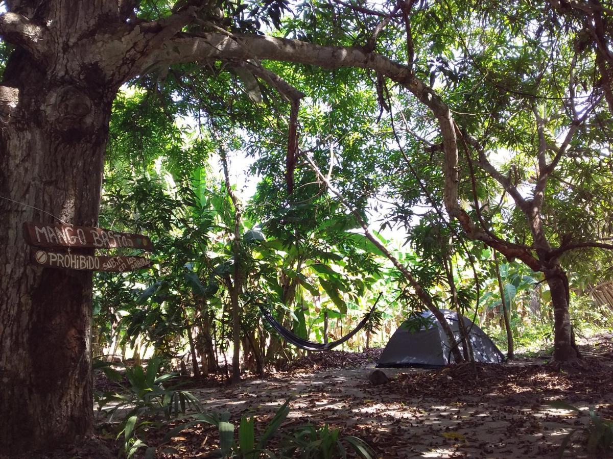 Eco-Camping Mango Feliz Rincon Del Mar San Onofre Esterno foto