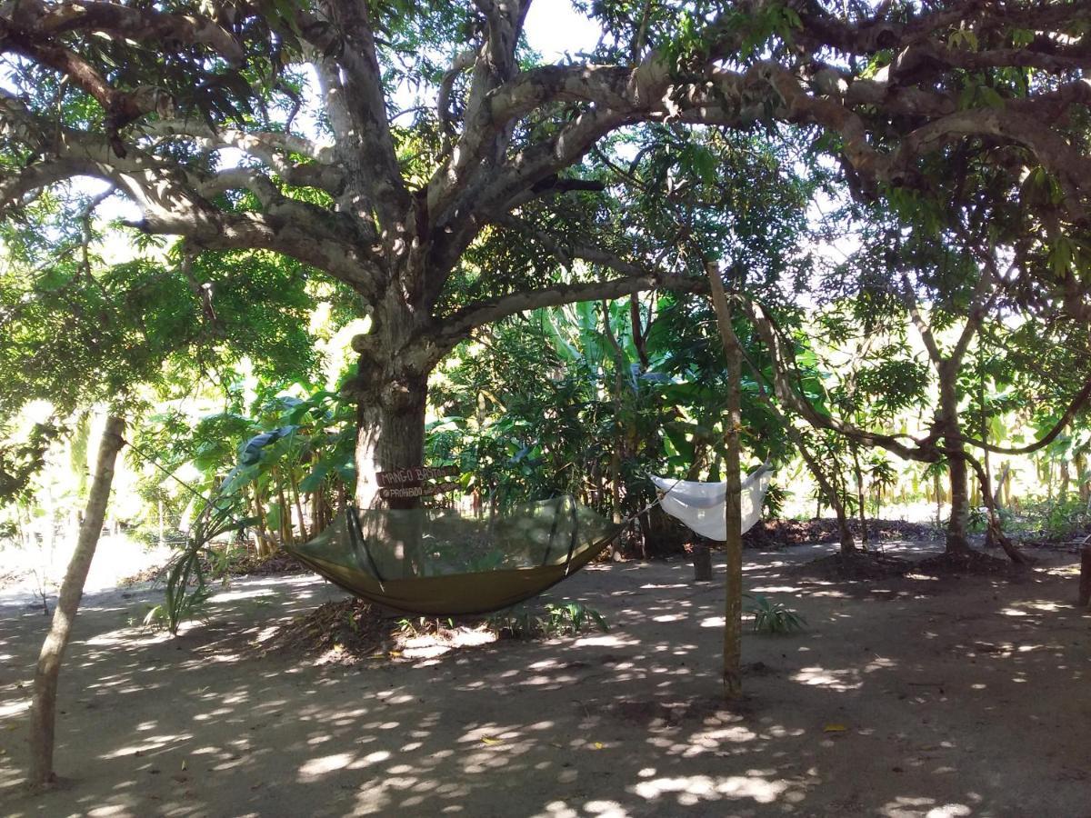Eco-Camping Mango Feliz Rincon Del Mar San Onofre Esterno foto