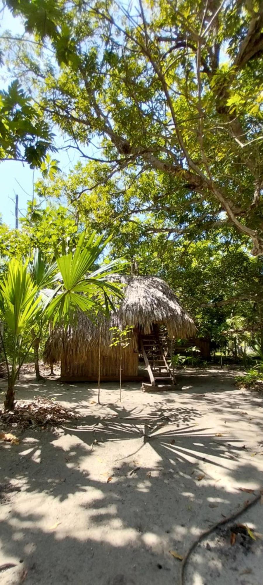 Eco-Camping Mango Feliz Rincon Del Mar San Onofre Esterno foto