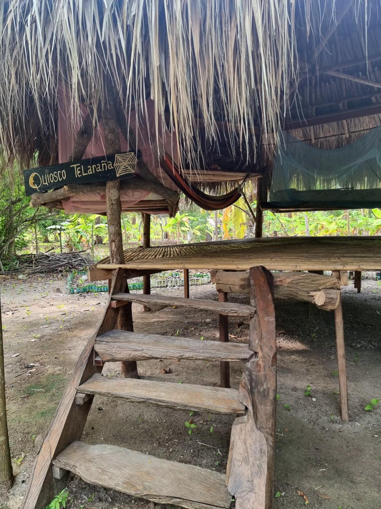 Eco-Camping Mango Feliz Rincon Del Mar San Onofre Esterno foto