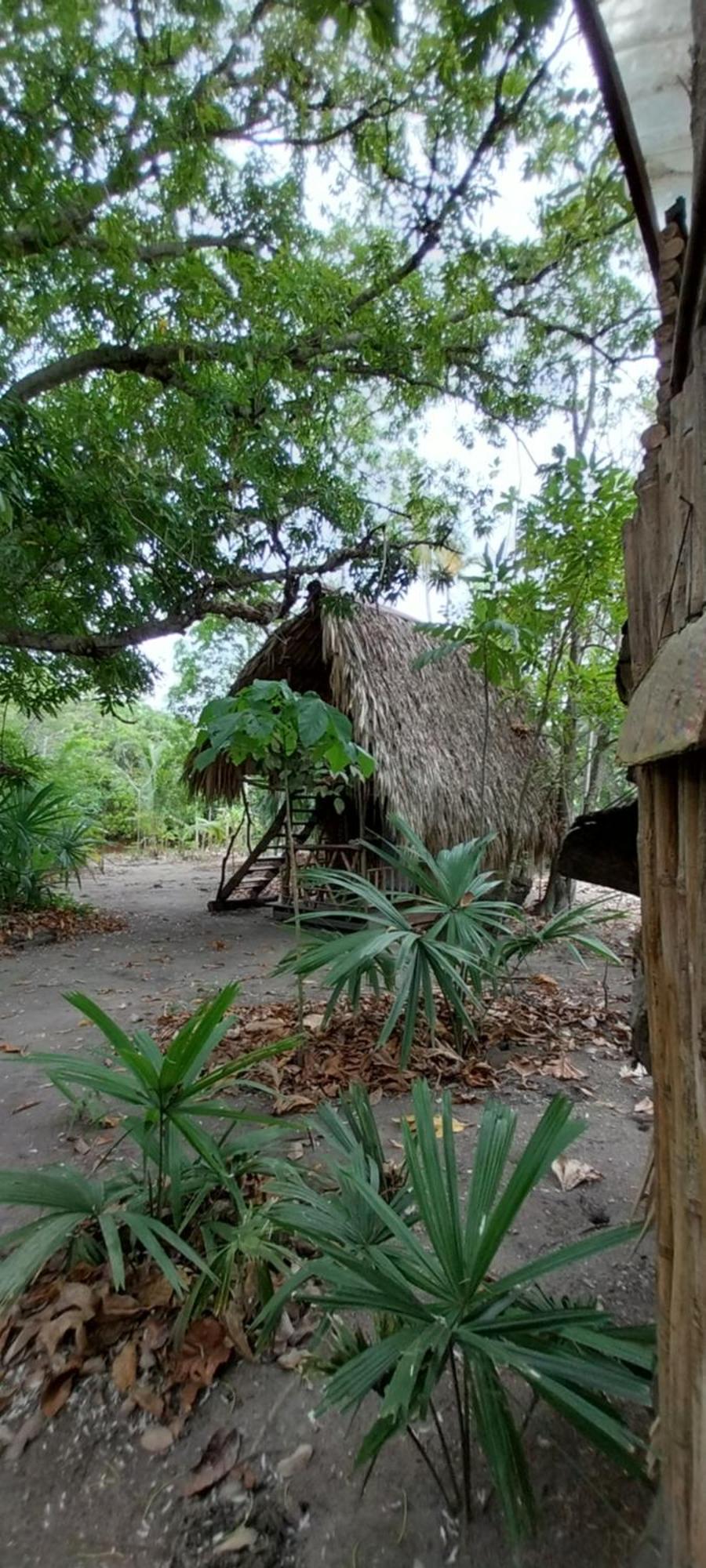 Eco-Camping Mango Feliz Rincon Del Mar San Onofre Esterno foto