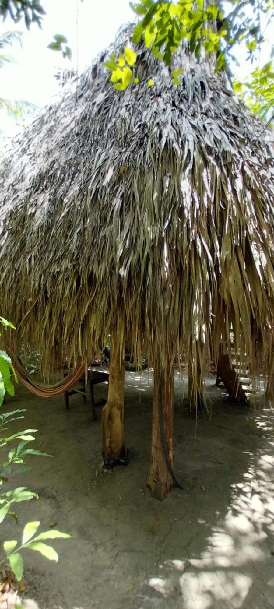 Eco-Camping Mango Feliz Rincon Del Mar San Onofre Esterno foto